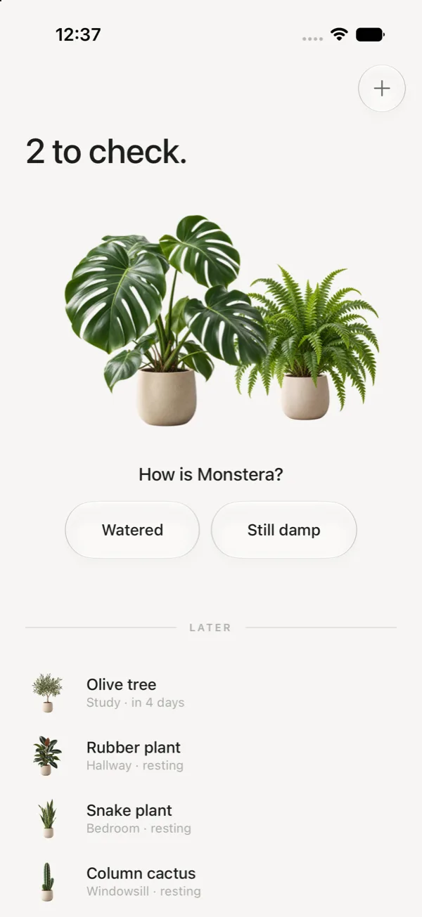 A plant asks to be checked: How is Monstera? with two buttons of equal weight, Watered and Still damp